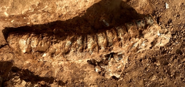 Kanada'da 890 milyon yıllık dünyanın en eski hayvan fosili bulundu