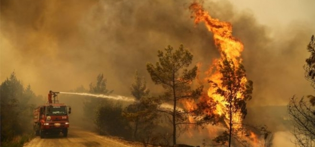Türkiye genelindeki 98 orman yangınının 88'i kontrol altına alındı