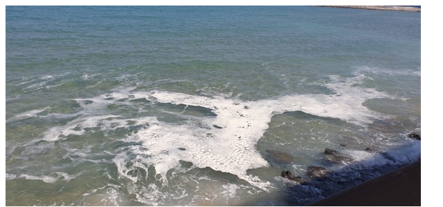 Biyologlar Derneği'nden Karpaz sahillerinde görülen köpük oluşumu hakkında açıklama: 'Söz konusu oluşum deniz salyası (müsilaj) değil”