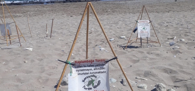 Karşıyaka Güzelyalı Sahili Kaplumbağa Projesi'nin ilk etabı gerçekleştirilecek