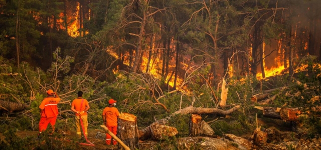 Türkiye'de 10 yılda 26 bin 311 orman yangını meydana geldi