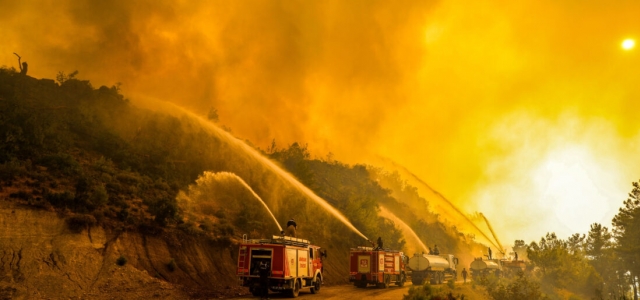 Türkiye'deki orman yangınlarında son durum