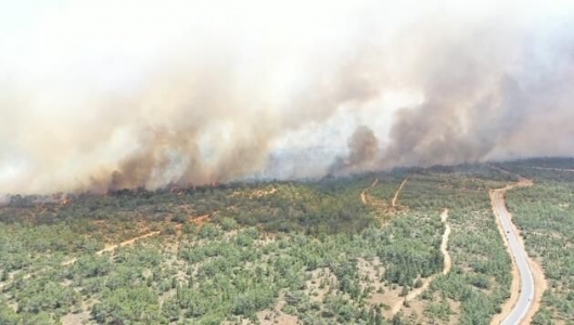 Yüksek yangın olasılığı nedeniyle orman yolları da dahil ormanlık alanlara giriş yasağı uzatıldı