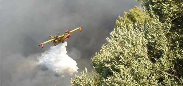 Yunanistan, AB'nin yangın söndürme desteği çağrısına yanıt vermedi