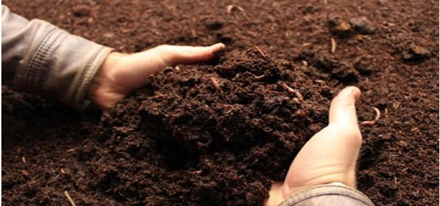 5 Aralık Dünya Toprak Günü… ZMO Başkanı Uluçam: 'Ekilebilir tarım arazilerinin her geçen gün azalması endişe verici boyutta”