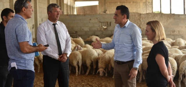 Tarım Bakanı Oğuz: 'Küçükbaş hayvan sayısı artıyor, Asaf'a talep yoğun'