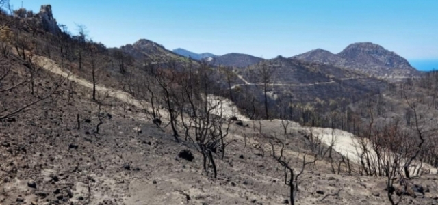 Tarım ve Doğal Kaynaklar Bakanı Oğuz: 'Yangın yerinde yeni parlamaların olmaması için teknik çalışmalar devam ediyor”