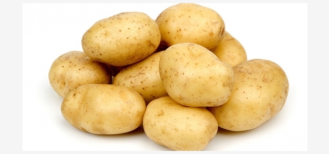 Patates ekimi yapılan araziler için beyan