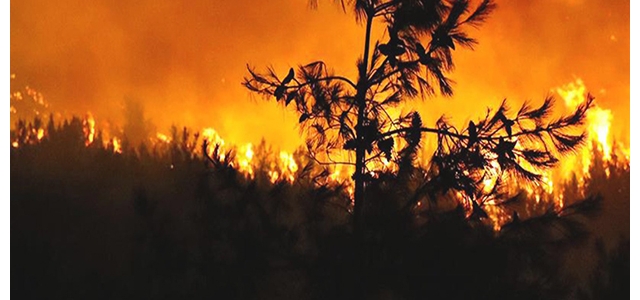 Limasol'da kundaklama olduğu iddia edilen büyük yangın
