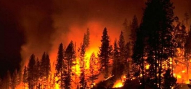 Orman Dairesi yangın riskine karşı uyardı... Sıcaklık 45 derece üzerine çıkacak, yangına dikkat!